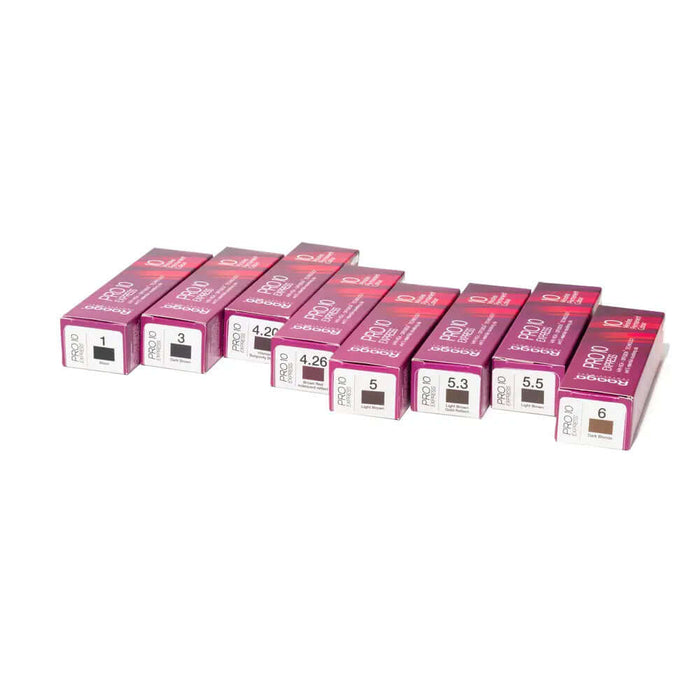 Raaga Professional Pro 10 Express hair colour