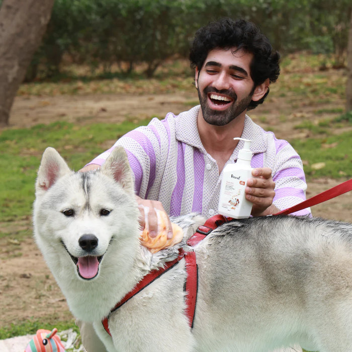 Petterati Dog Dandruff Shampoo | Anti-Dandruff Formula for Healthy Dog Coats | 400ml