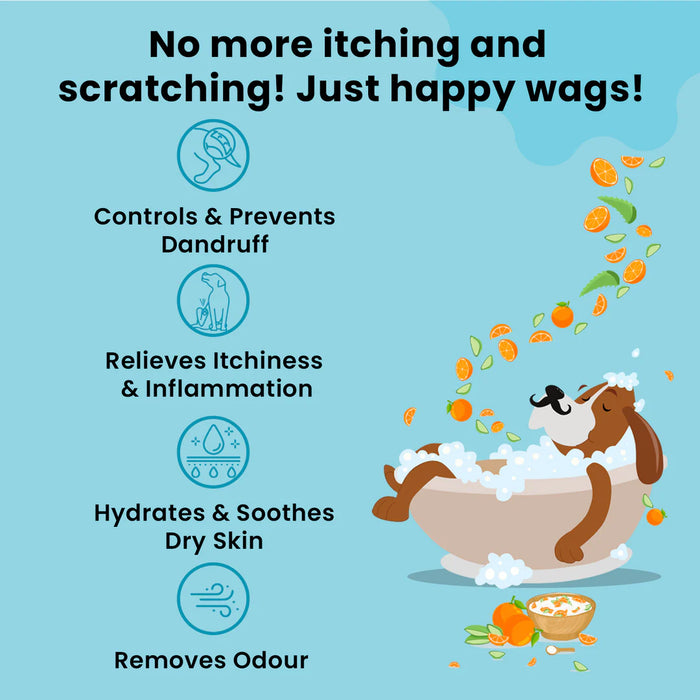 Petterati Dog Dandruff Shampoo | Anti-Dandruff Formula for Healthy Dog Coats | 400ml