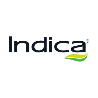 Indica