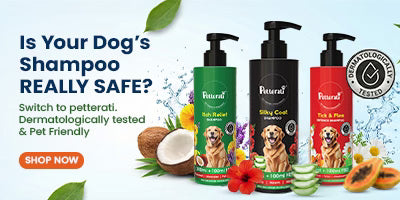 Cavinkart dermatologically tested dog shampoo