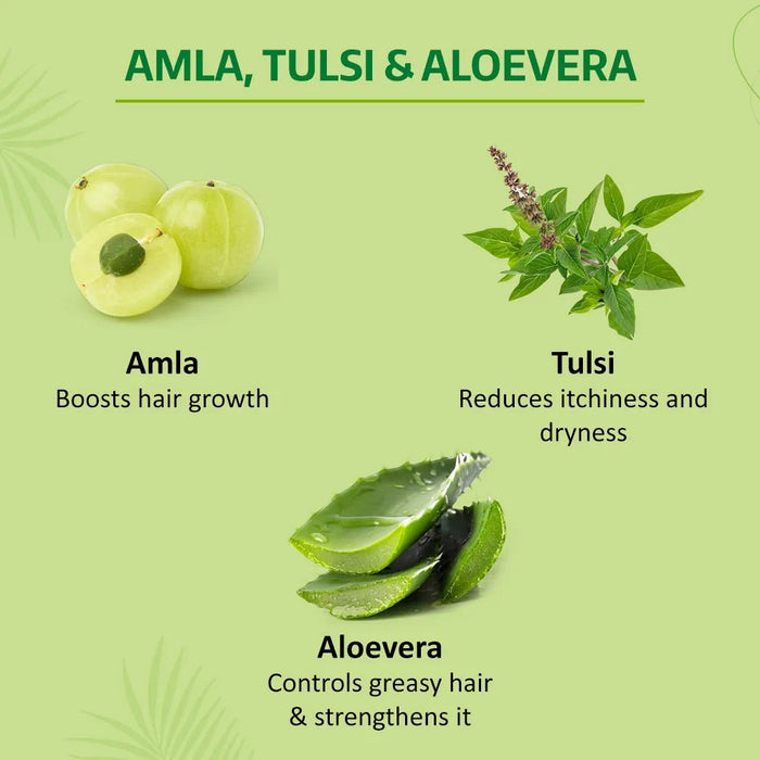 Nyle Naturals Dryness Hydration Shampoo, 400ml | For Dry & Frizz - Free Hair With Tulsi, Amla, and Aloe Vera | Gentle & Soft Shampoo For Men & Women - Cavinkart