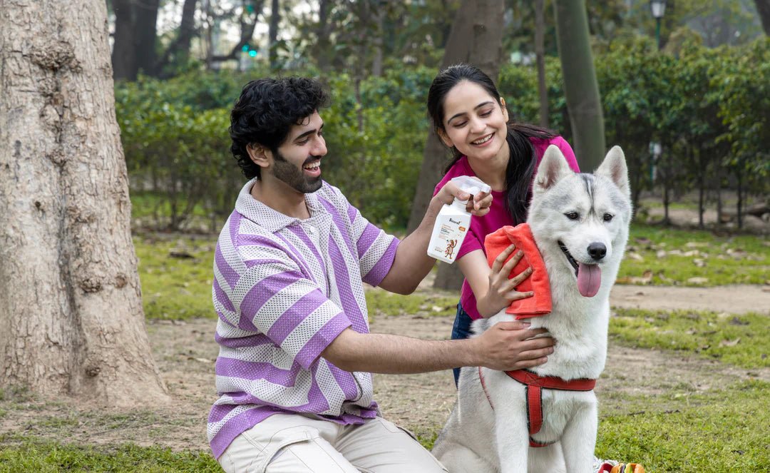 Petterati Cleansing & Moisturising Waterless Oatmeal Dog Shampoo - 400ml | Dry Bath for Dogs | Instant Dirt & Odor Removal | Ideal for Travel | pH Optimised - Cavinkart