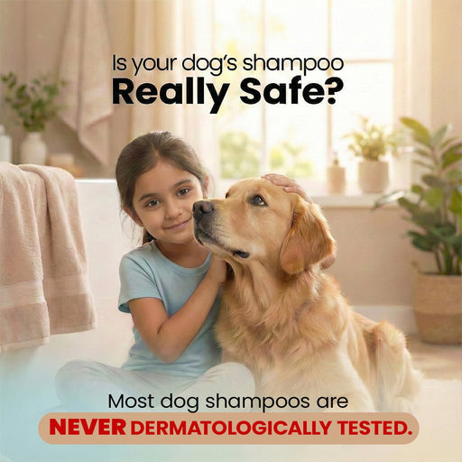 Petterati Tick & Flea Defence Dog Shampoo | With Goodness of Papaya, Tulsi, Chamomile | Shampoo + Conditioner 1000ml Dermatologically Tested with Malodour Neutraliser and Pet Friendly Fragrance - Cavinkart